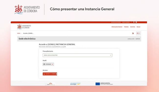 Cómo presentar una instancia general