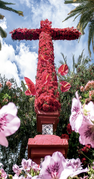 Concurso Municipal de Cruces de Mayo 2026