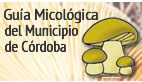 GUIA MICOLOGICA