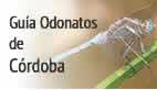 botonodonatos