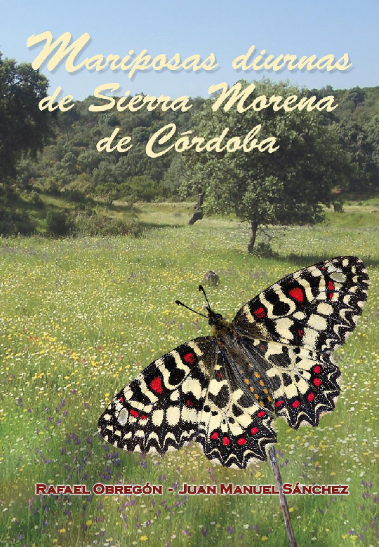 MARIPOSAS DIURNAS DE SIERRA MORENA DE CORDOBA Pagina 01