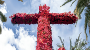 Concurso Municipal de Cruces de Mayo 2026