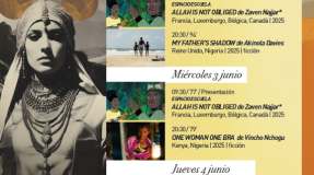 23º Edición del Festival de Cine Africano